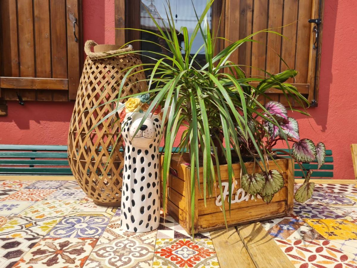 Villa El Jardin De Gala Castejon de Monegros Esterno foto