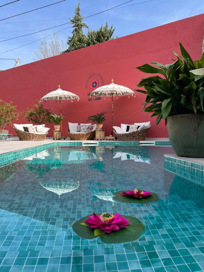 Villa El Jardin De Gala Castejon de Monegros Esterno foto